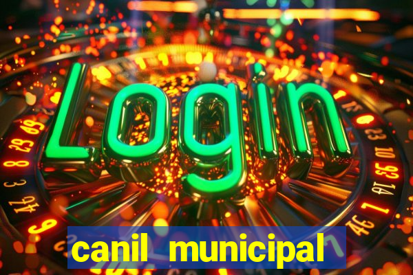 canil municipal porto alegre